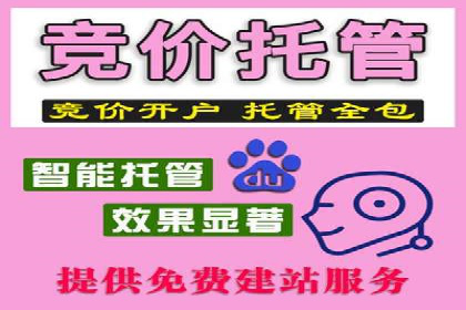 SEM竞价代运营公司案例应用解读